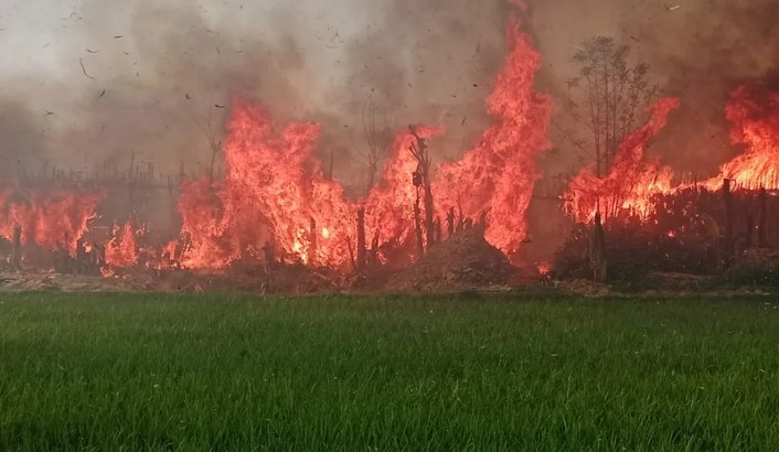 কুষ্টিয়ায় ১০ কিলোমিটার এলাকাজুড়ে আগুন, ফসল পুড়ে ছাই