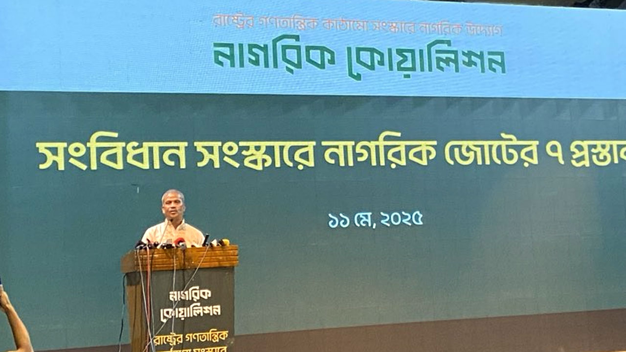 নতুন সংবিধান প্রণয়ন করতে অনেক সময় লাগবে : আসিফ নজরুল
