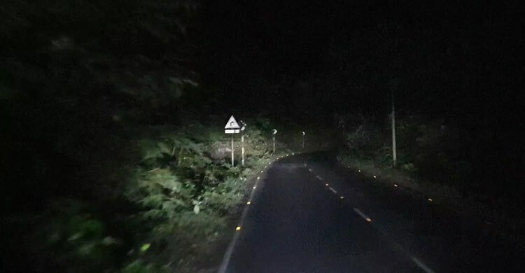 সড়কে গাছ ফেলে যানবাহনে ঘণ্টাব্যাপী ডাকাতি