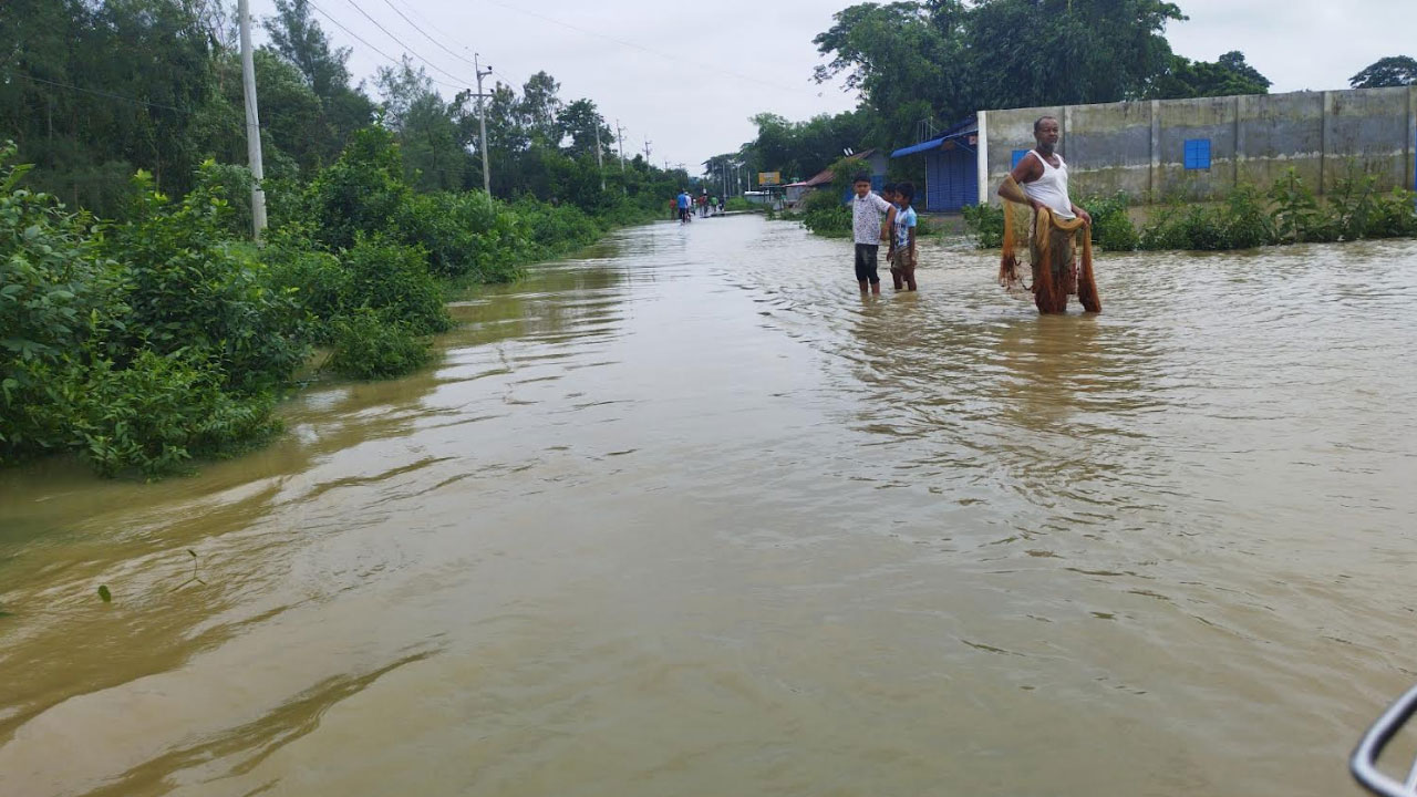 কিছুটা বাড়তি ব্রয়লার মুরগির দাম, মাছের বাজারে স্বস্তি