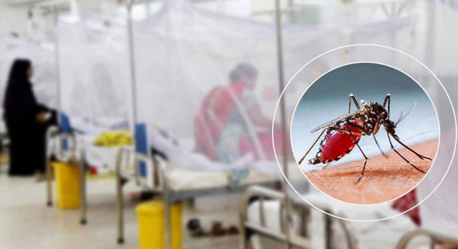 ২৪ ঘণ্টায় ডেঙ্গুতে ২ মৃত্যু, হাসপাতালে ৩৬৪