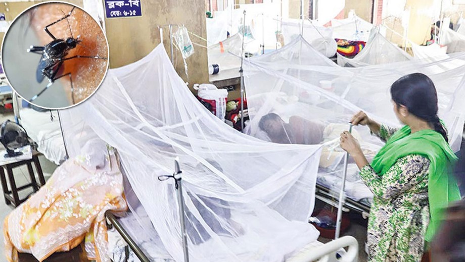 ডেঙ্গুতে আরও ২ জনের মৃত্যু, শনাক্ত ২৭৯