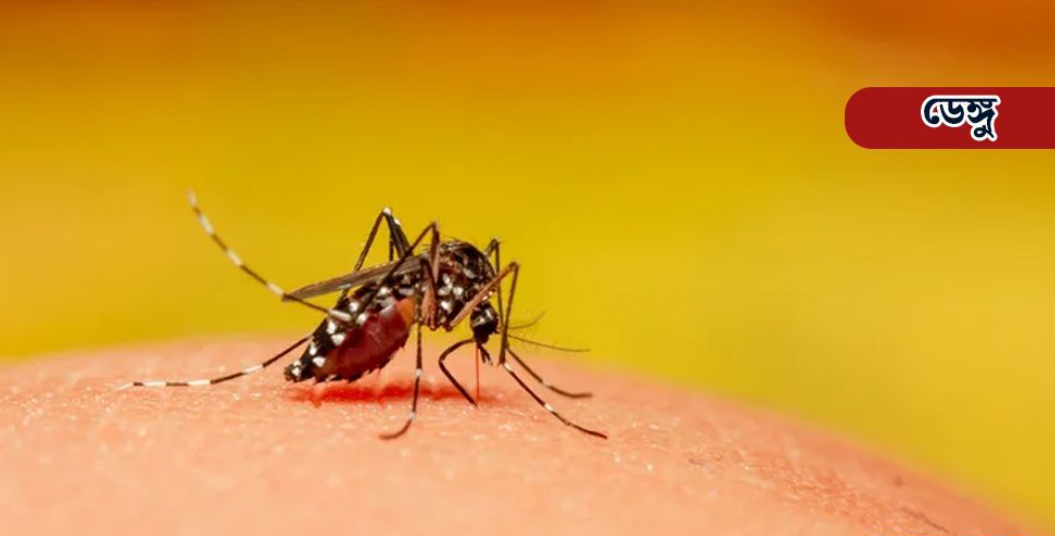 ডেঙ্গুতে আরও ৪ জনের মৃত্যু