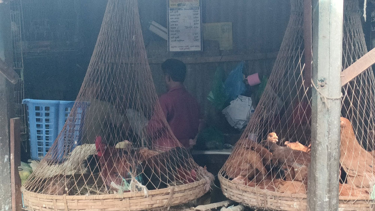 কিছুটা কমেছে মুরগির দাম, গরু ও খাসির মাংসের দাম অপরিবর্তিত