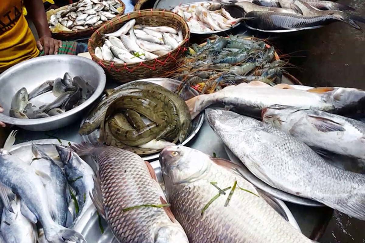 চড়া মাছ–মাংসের বাজার, রোজার প্রথম শুক্রবারে বিপাকে ক্রেতা