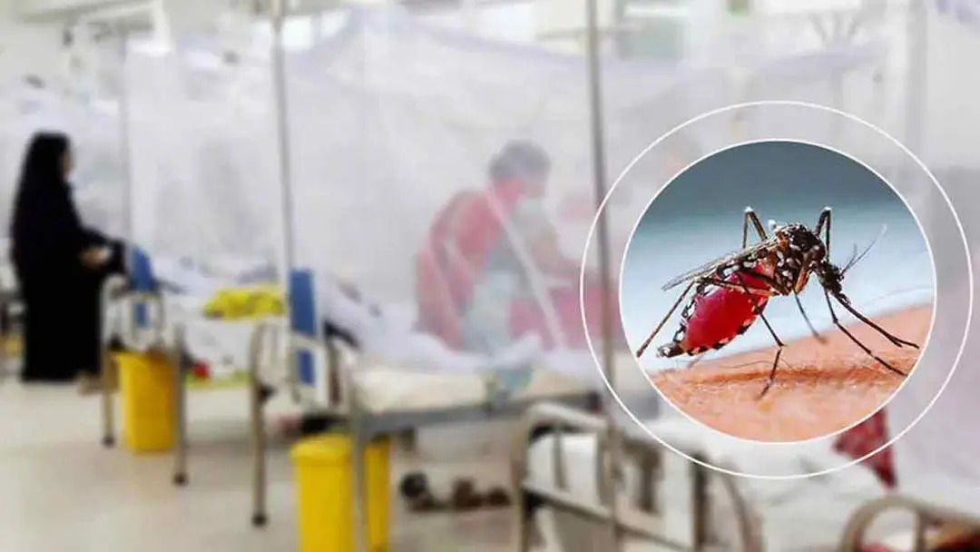 ডেঙ্গুতে আরও ৪ জনের মৃত্যু, হাসপাতালে ১১৬৩